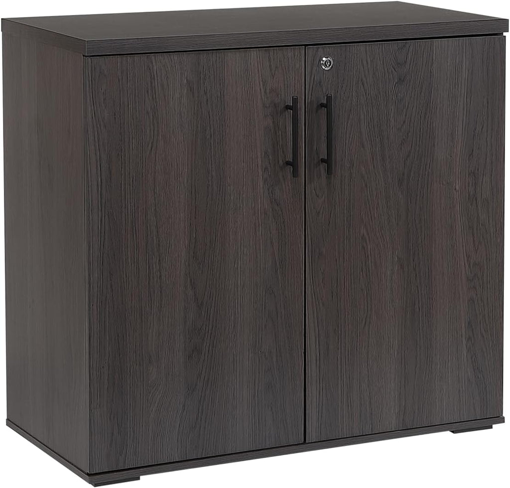 Lockable Two-Door Wooden Office Storage Cabinet
