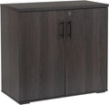 Lockable Two-Door Wooden Office Storage Cabinet
