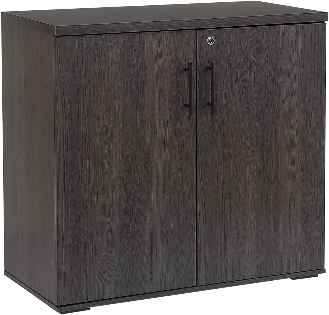 Lockable Two-Door Wooden Office Storage Cabinet
